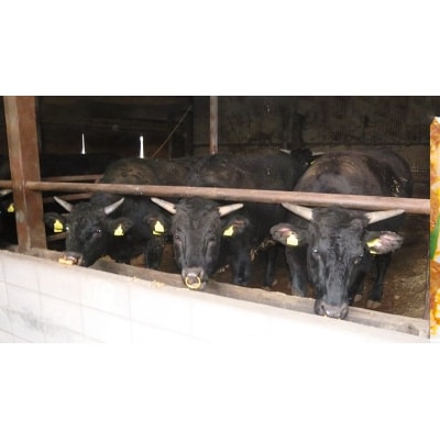 茨城県産高級黒毛和牛「常陸牛」 ももスライス 580g [AI002ya]