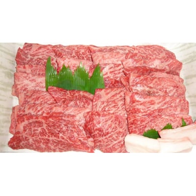 茨城県産高級黒毛和牛「常陸牛」 もも焼肉用 480g [AI009ya]