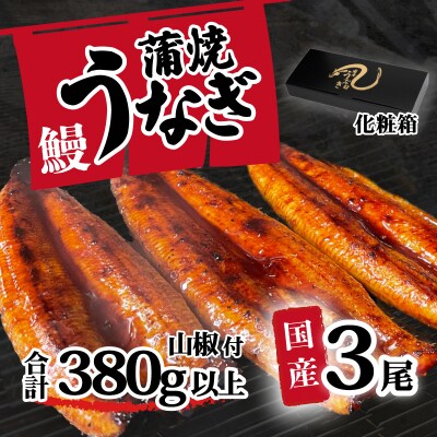 【化粧箱】訳あり 国産うなぎ 蒲焼き 3尾 380g以上 大きさ不揃い 山椒付き ギフト