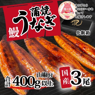 【母の日】【化粧箱】訳あり 国産うなぎ 蒲焼き 3尾 400g以上 大きさ不揃い 山椒付き ギフト