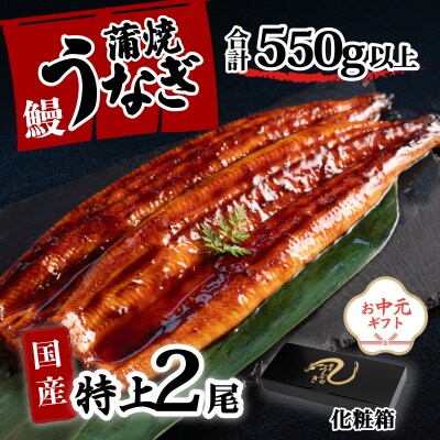 【お中元】【化粧箱】国産 特上うなぎ 蒲焼き 2尾セット <合計550g以上> タレ山椒付き ギフト