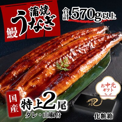 【お中元】【化粧箱】国産 特上うなぎ 蒲焼き 2尾セット <合計570g以上> タレ山椒付き ギフト