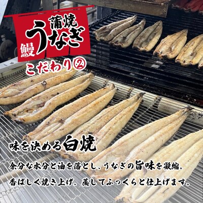 【お中元】【化粧箱】国産 特上うなぎ 蒲焼き 2尾セット <合計550g以上> タレ山椒付き ギフト