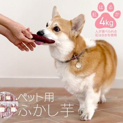 動物 ペットおやつ ペット用 ふかし芋 小芋 紅はるか 4kg [AU120ya]