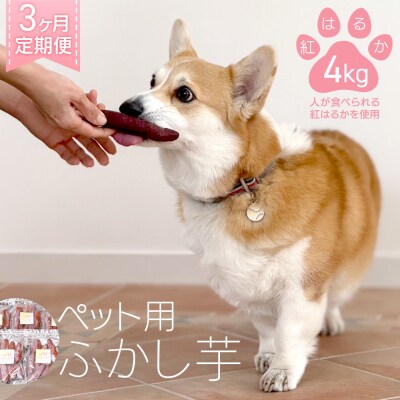 【3ヶ月定期便】動物 ペットおやつ ペット用 ふかし芋 小芋 紅はるか 4kg  [AU124ya]
