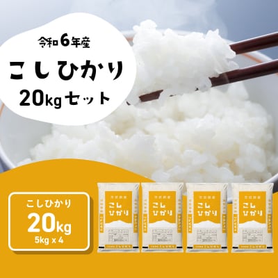 【令和6年産】茨城県産 コシヒカリ 精米 20kg (5kg×4袋)