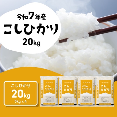 令和7年産 茨城県産 お米 コシヒカリ 精米 20kg (5kg×4袋)