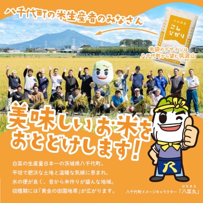 【令和6年産】茨城県産 コシヒカリ 精米 20kg (5kg×4袋)