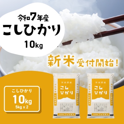 令和7年産茨城県産コシヒカリ 精米 10kg (5kg×2袋)