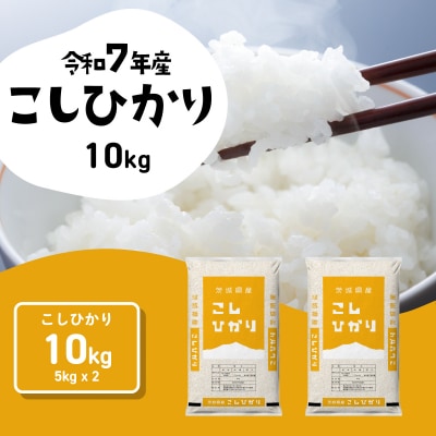 令和7年産 茨城県産 お米 コシヒカリ 精米 10kg (5kg×2袋)