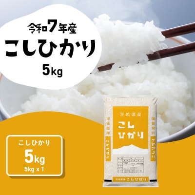 令和7年産 茨城県産 お米 コシヒカリ 精米 5kg (5kg×1袋)