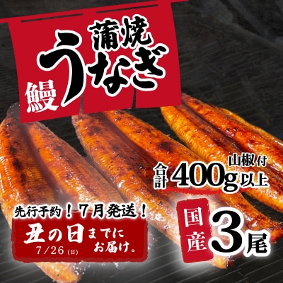 【土用の丑の日までにお届け】訳あり 国産うなぎ 蒲焼き 3尾 400g以上 大きさ不揃い 山椒付き