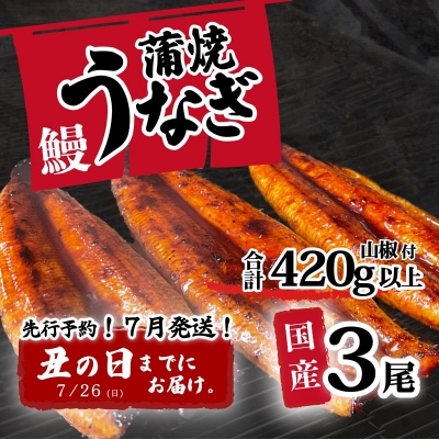 【土用の丑の日までにお届け】訳あり 国産うなぎ 蒲焼き 3尾 420g以上 大きさ不揃い 山椒付き