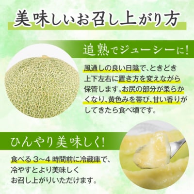 【先行受付2027年6月上旬以降発送】タカミメロン 秀品 4-5玉 約6kg [AX063ya]