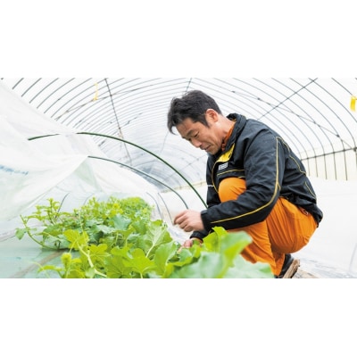 【先行受付 2026年6月中旬以降発送】タカミメロン 秀品 1箱 2玉入り [AV010ya]