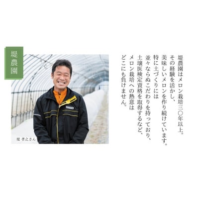 【先行受付 2026年6月中旬発送】 タカミメロン 秀品 1箱 3～4玉入り [AV008ya]