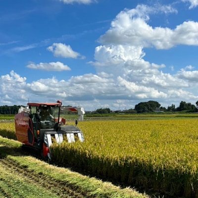 令和7年産 茨城県産 新米 ミルキークイーン 10kg 玄米 農家直送 [BG011ya]