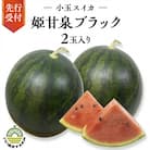 【令和8年産】【先行受付】小玉スイカ 姫甘泉ブラック 1箱 2玉入り 数量限定[CG005ya]