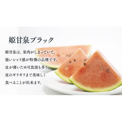 【令和8年産】【先行受付】小玉スイカ 姫甘泉ブラック 1箱 2玉入り 数量限定[CG005ya]