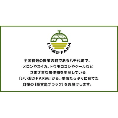 【令和8年産】【先行受付】小玉スイカ 姫甘泉ブラック 1箱 2玉入り 数量限定[CG005ya]