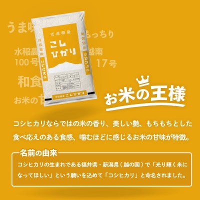 令和7年産 茨城県産 お米 食べ比べ 精米 10kg (5kg×2袋)