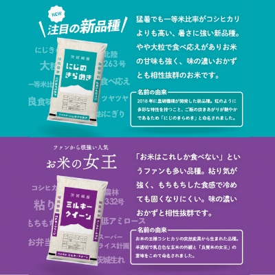 令和7年産 茨城県産 お米 おまかせ 精米 5kg (5kg×1袋)