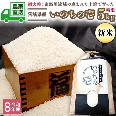 令和8年産 茨城県産 新米 いのちの壱 5kg 精米 大粒 単一原料米 農家直送 [BG018ya]