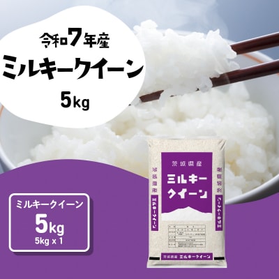 令和7年産 茨城県産 お米 ミルキークイーン 精米 5kg (5kg×1袋)
