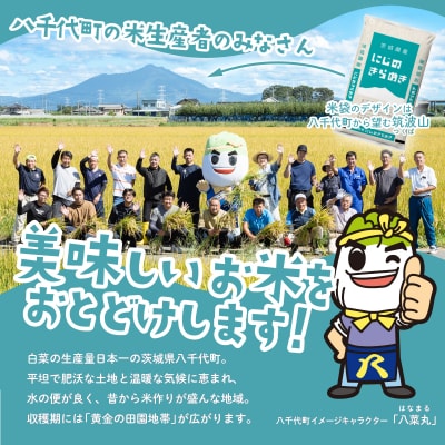 令和7年産 茨城県産 新米 にじのきらめき 精米 20kg (5kg×4袋)