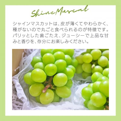 【9月上旬以降発送】シャインマスカット 約1kg (2～3房) 八千代町産 [CU003ya]