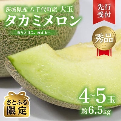 【先行受付6月上旬以降発送】茨城県産 タカミメロン 秀品 4-5玉 約6.5kg [AX064ya]