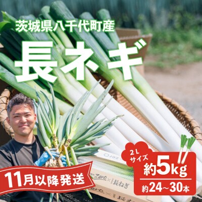 【11月以降発送開始】長ネギ 約5kg 2L 約24本～30本 茨城県産 八千代町産 野菜 農家直送