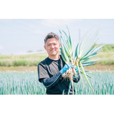 【スピード発送】長ネギ 約5kg 約45本 茨城県産 八千代町産 野菜 農家直送 ねぎ 