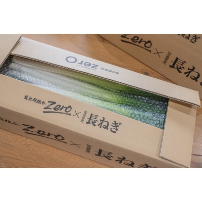 【スピード発送】長ネギ 約5kg 約45本 茨城県産 八千代町産 野菜 農家直送 ねぎ 