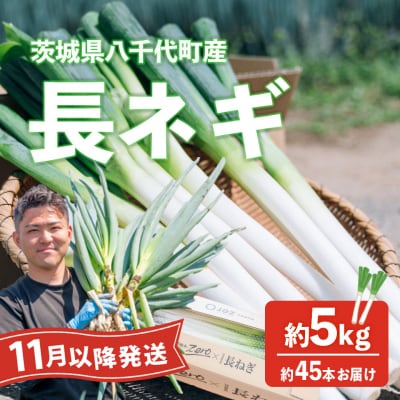 【11月以降発送開始】長ネギ 約5kg 約45本 茨城県産 八千代町産 野菜 農家直送 ねぎ
