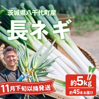 【11月下旬以降発送開始】長ネギ 約5kg 約45本 茨城県産 八千代町産 野菜 農家直送 ねぎ