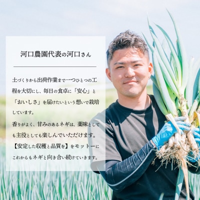 【11月下旬以降発送開始】長ネギ 約5kg 約45本 茨城県産 八千代町産 野菜 農家直送 ねぎ