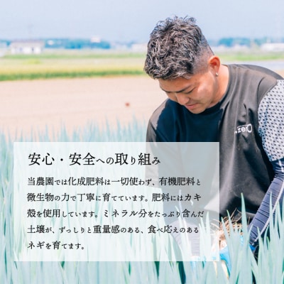 【11月下旬以降発送開始】長ネギ 約5kg 約45本 茨城県産 八千代町産 野菜 農家直送 ねぎ
