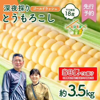 【関東当日便】【先行受付】6月中旬以降発送 深夜採り とうもろこし ゴールドラッシュ 約3.5kg