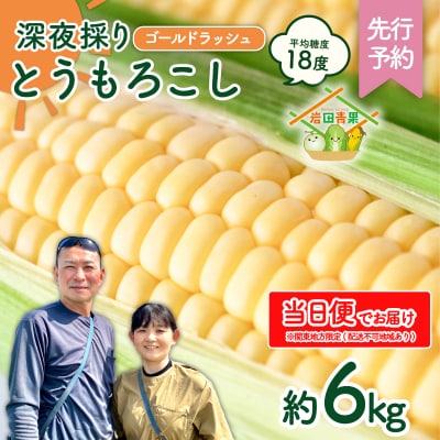 【関東当日便】【先行受付】6月中旬以降発送 深夜採り とうもろこし ゴールドラッシュ 約6kg