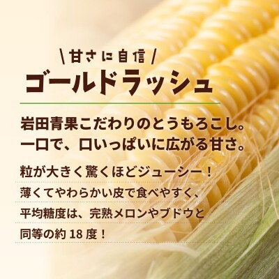 【関東当日便】【先行受付】6月中旬以降発送 深夜採り とうもろこし ゴールドラッシュ 約6kg