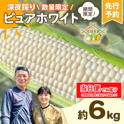 【関東当日便】【先行受付】6月下旬以降発送 深夜採り とうもろこし ピュアホワイト 約6kg