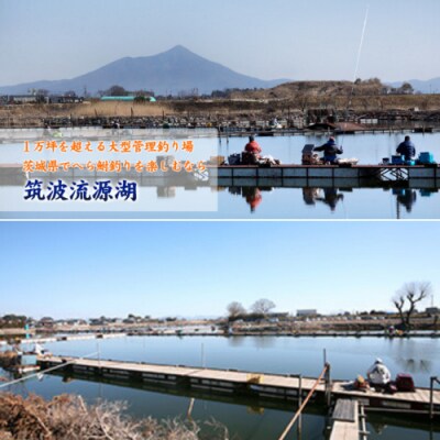 八千代グリーンビレッジ 温泉入浴10回分+筑波流源湖 ヘラブナ釣り10回分 [AN013ya]