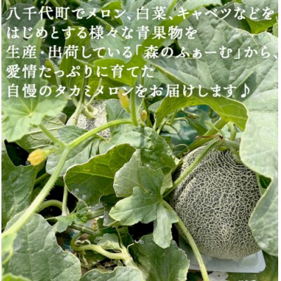 【先行受付】2026年6月中旬以降発送 タカミメロン 優以上 1箱 2玉入 [CL003ya]