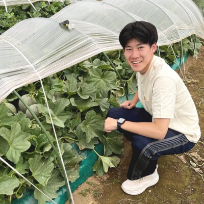 【先行受付】2026年6月中旬以降発送 タカミメロン 優以上 1箱 2玉入 [CL003ya]