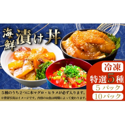 海鮮漬け丼5種セット 10パック マグロ 海鮮丼 海鮮丼 海鮮 刺身 本鮪 本マグロ 鮃 ヒラメ