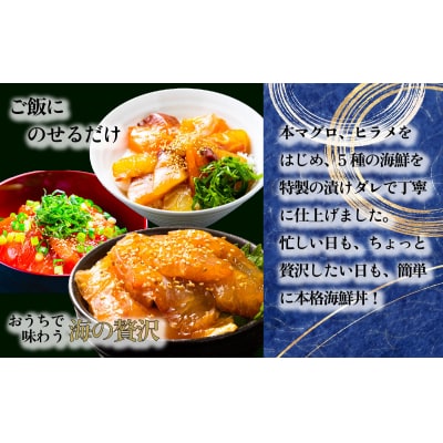 海鮮漬け丼5種セット 10パック マグロ 海鮮丼 海鮮丼 海鮮 刺身 本鮪 本マグロ 鮃 ヒラメ