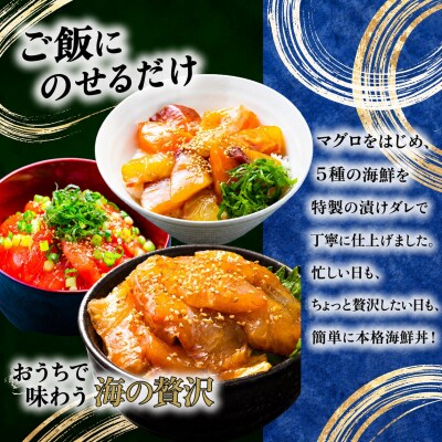 季節の海鮮漬け丼 おまかせ5種セット 10パック マグロ 海鮮丼 海鮮丼 海鮮 刺身 鮪 マグロ