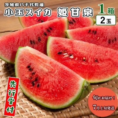 【先行受付 2026年7月上旬以降発送】小玉スイカ 姫甘泉 1箱 2玉入り [AV011ya]