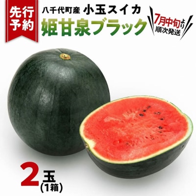 【先行受付】2026年7月中旬発送 小玉スイカ 姫甘泉ブラック 1箱(2玉入)[AV012ya]